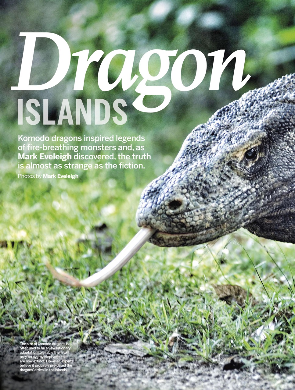 BBC Wildlife Magazine Preview Pages