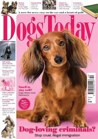 Dogs Today Magazine issue October 2017