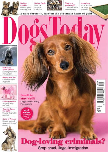 Dogs Today Magazine issue 