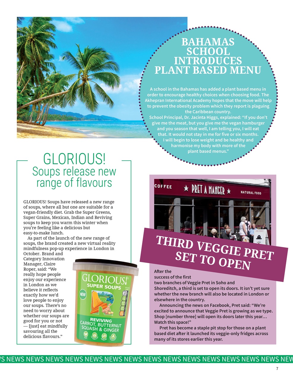 PlantBased Preview Pages