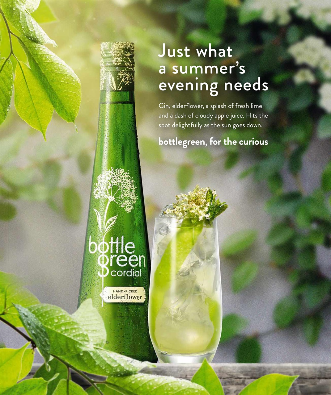 Olive Magazine Preview Pages