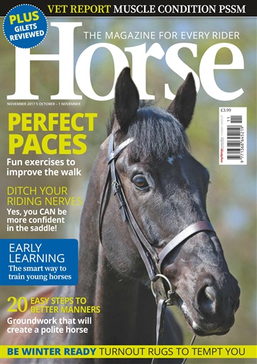 Horse issue 