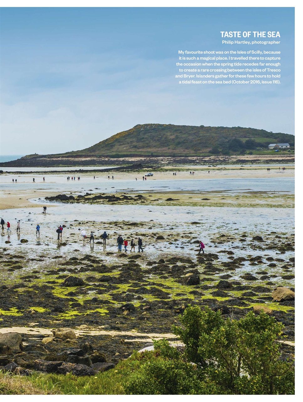 BBC Countryfile Magazine Preview Pages