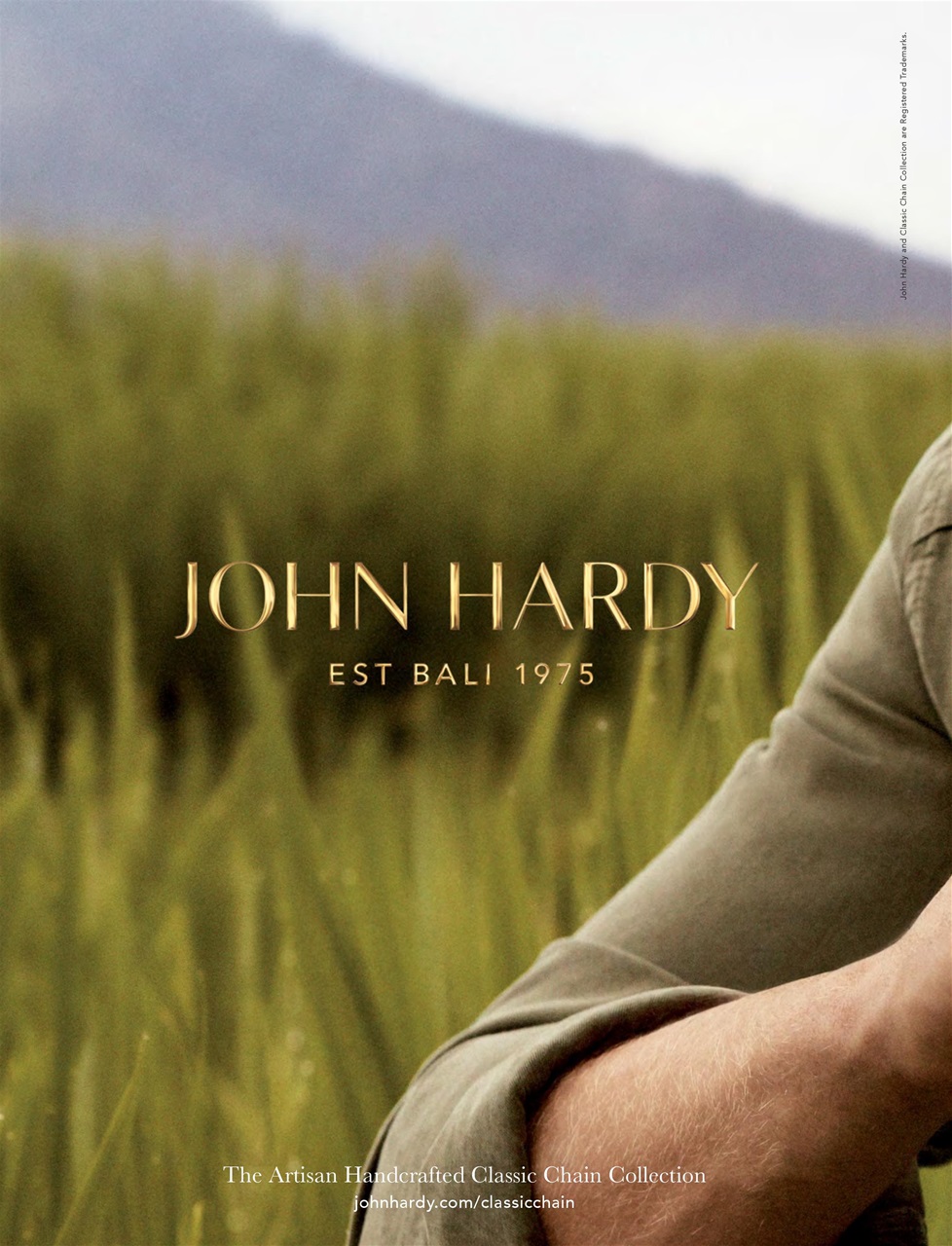 Attitude Preview Pages