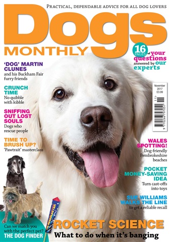 Dogs Monthly issue November 2017