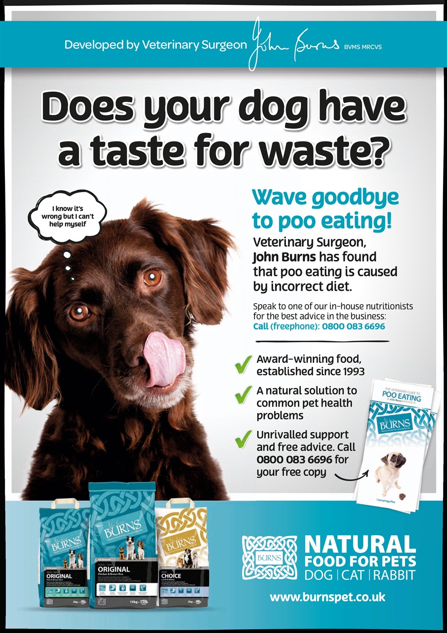 Dogs Monthly Preview Pages