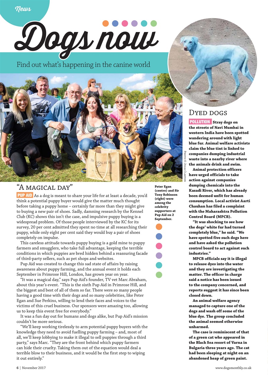Dogs Monthly Preview Pages