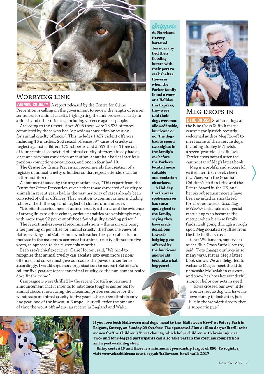 Dogs Monthly Preview Pages