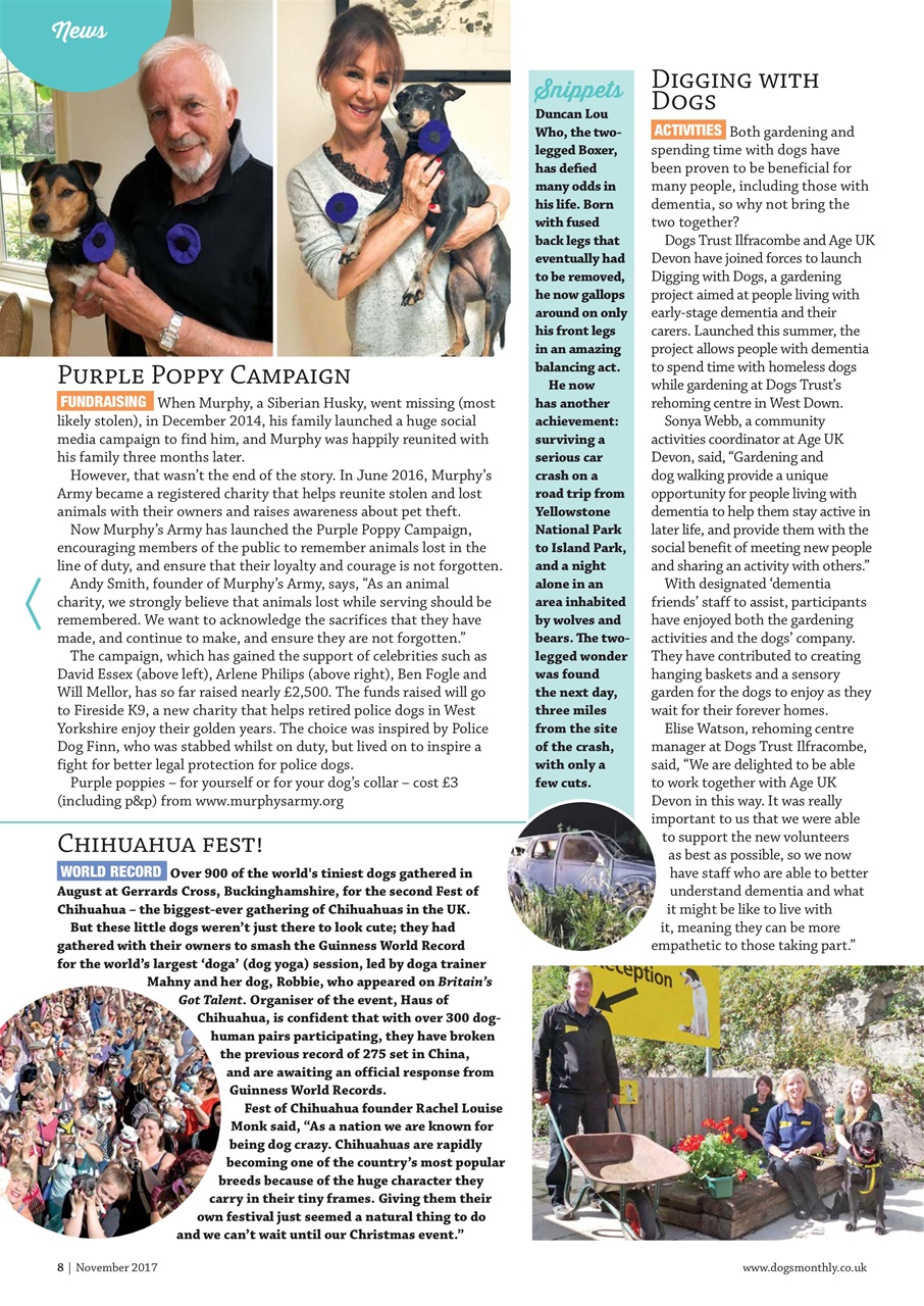 Dogs Monthly Preview Pages