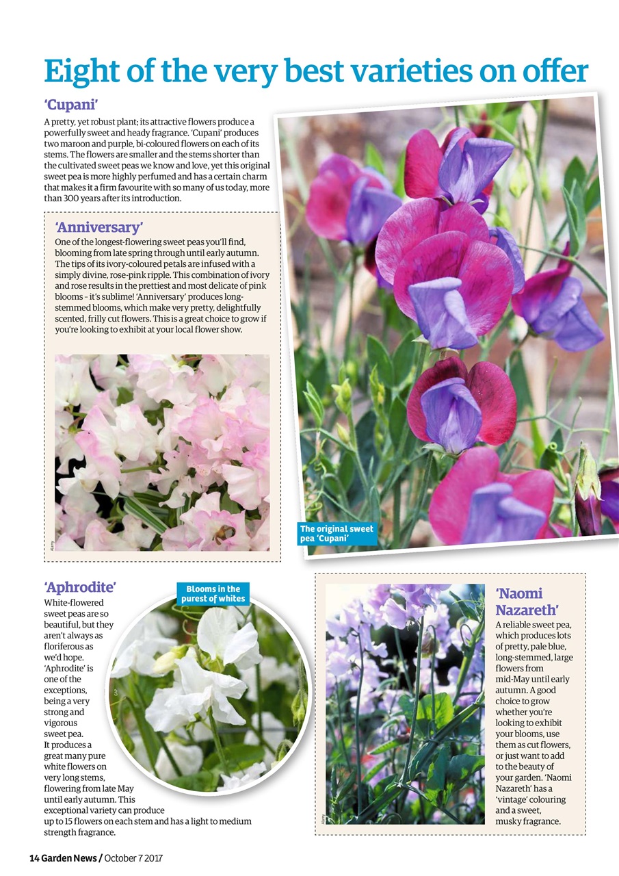 Garden News Preview Pages