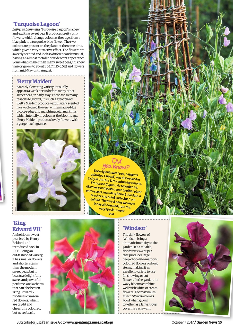 Garden News Preview Pages