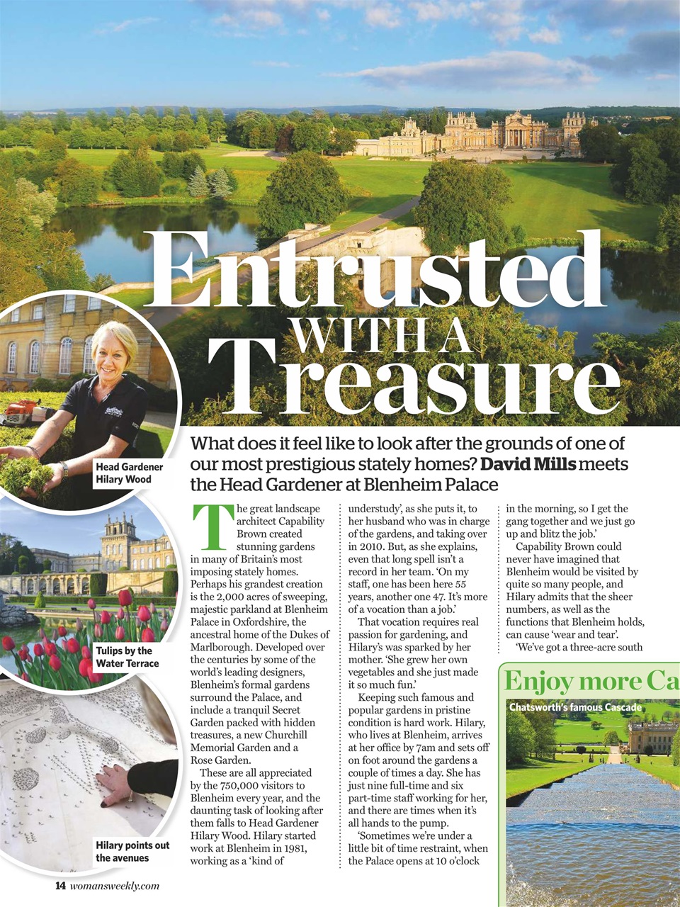 Woman's Weekly Preview Pages