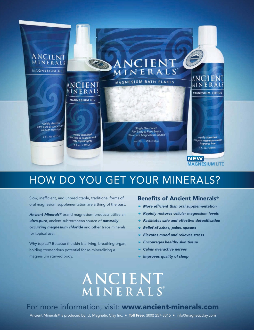 Well Being Journal Preview Pages