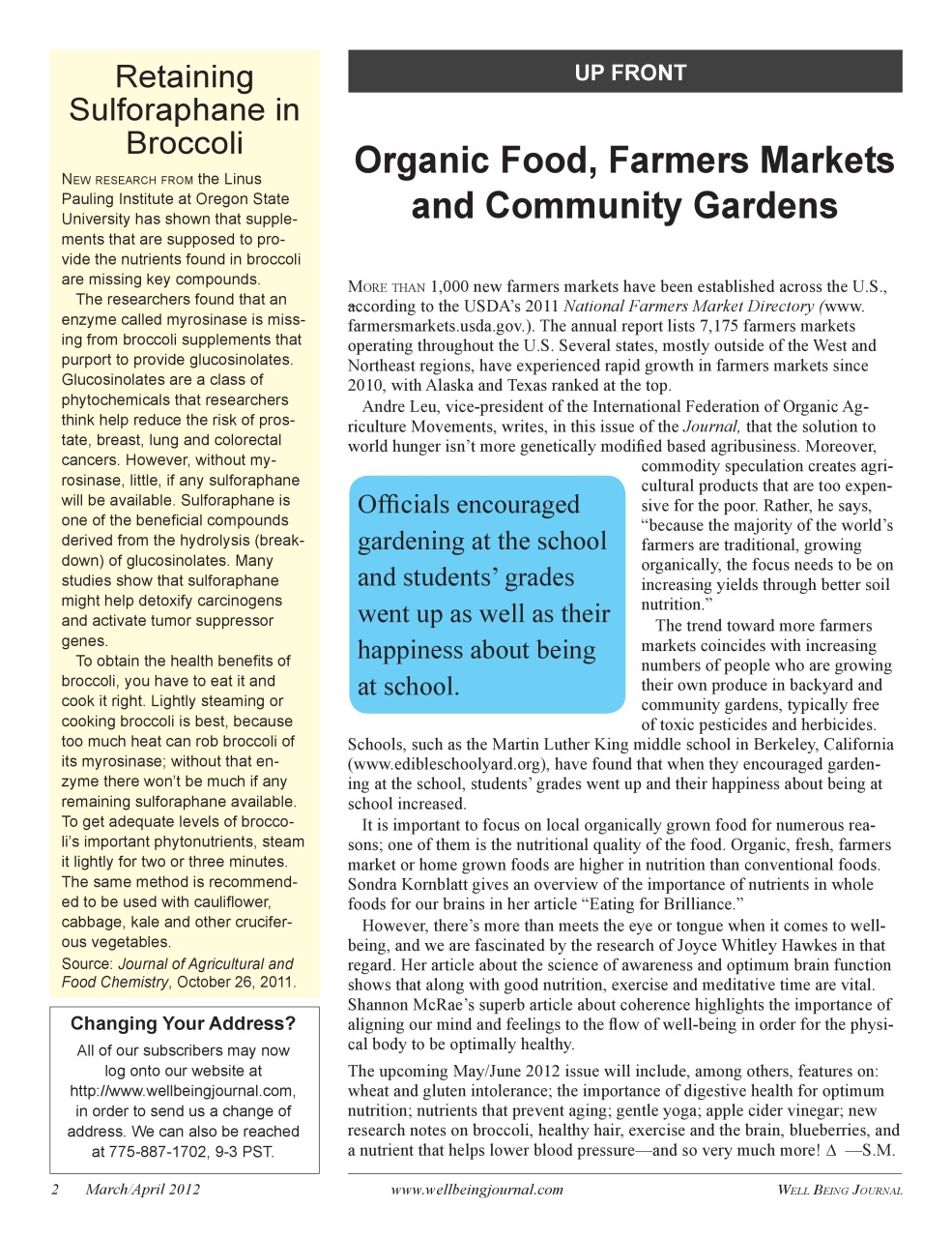 Well Being Journal Preview Pages