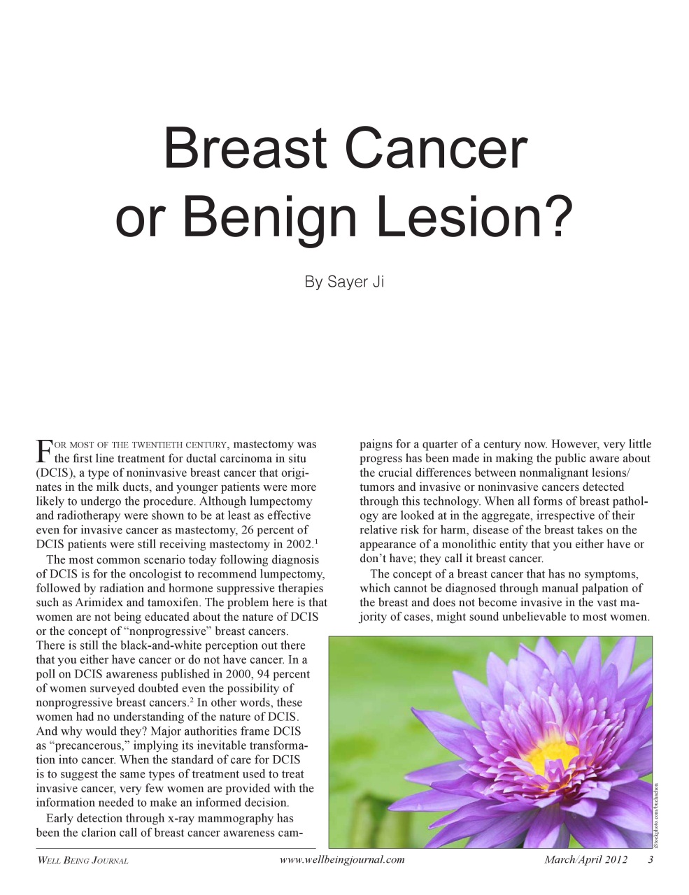 Well Being Journal Preview Pages