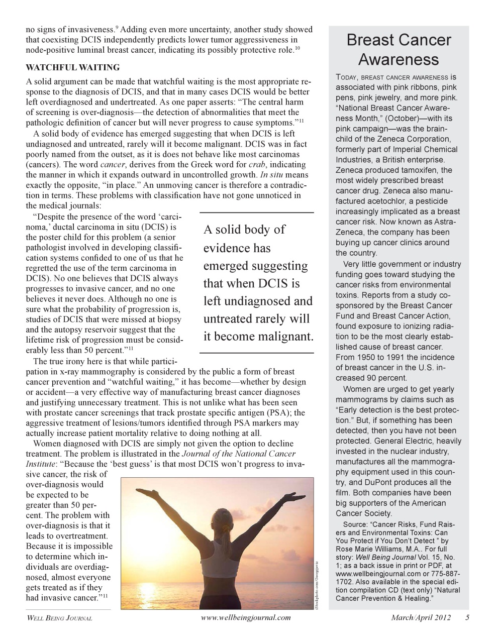 Well Being Journal Preview Pages