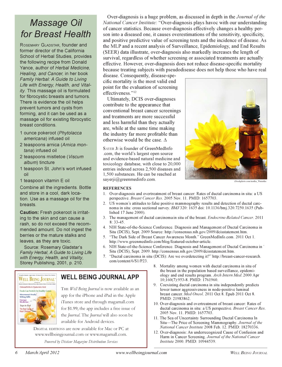 Well Being Journal Preview Pages