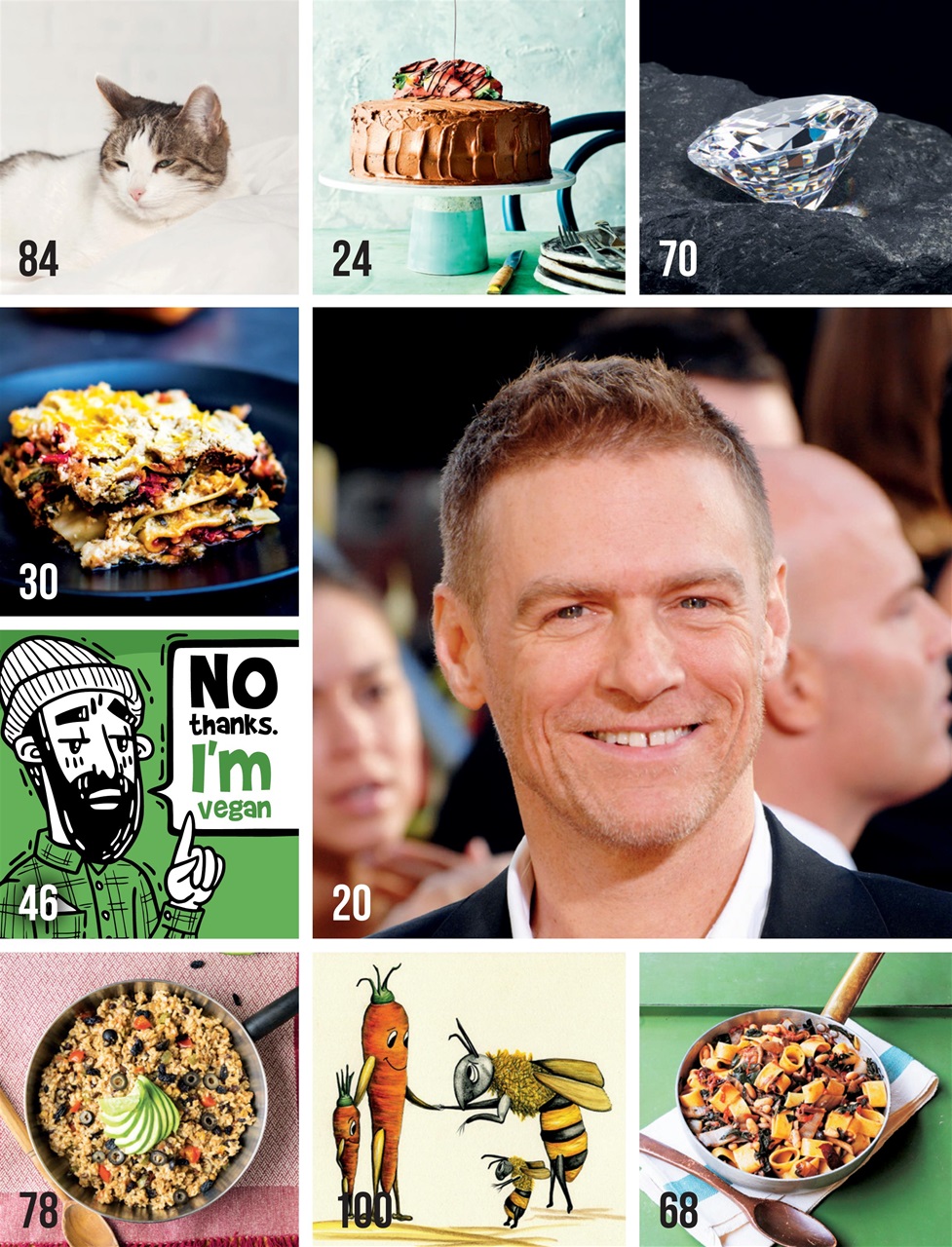 Vegan Life Preview Pages