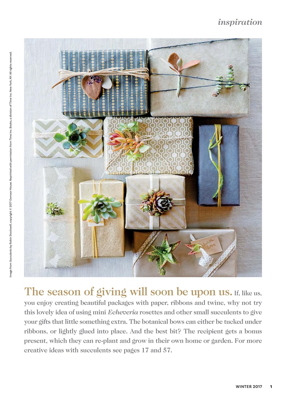 The Flower Arranger Preview Pages