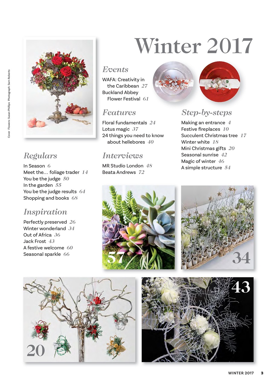 The Flower Arranger Preview Pages