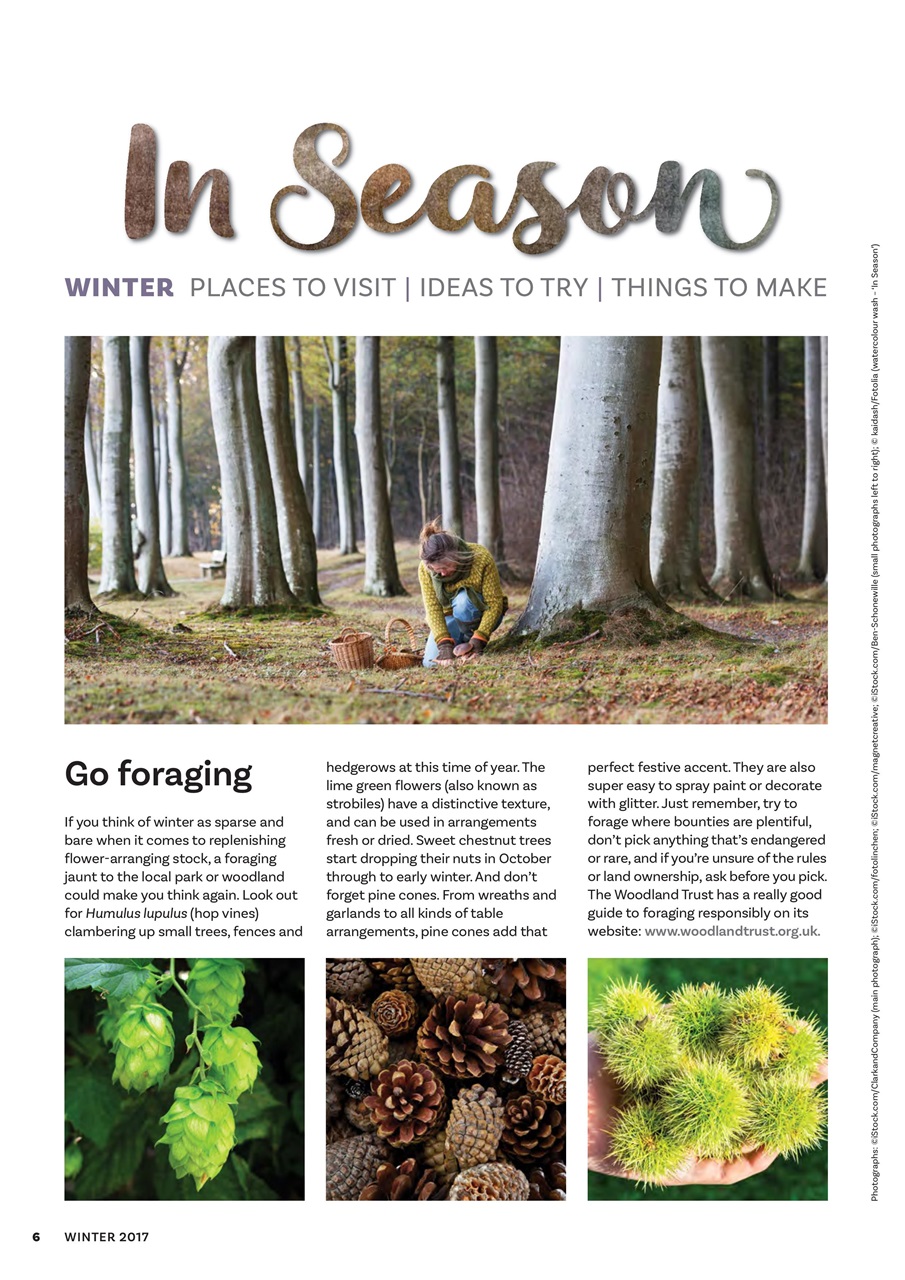 The Flower Arranger Preview Pages