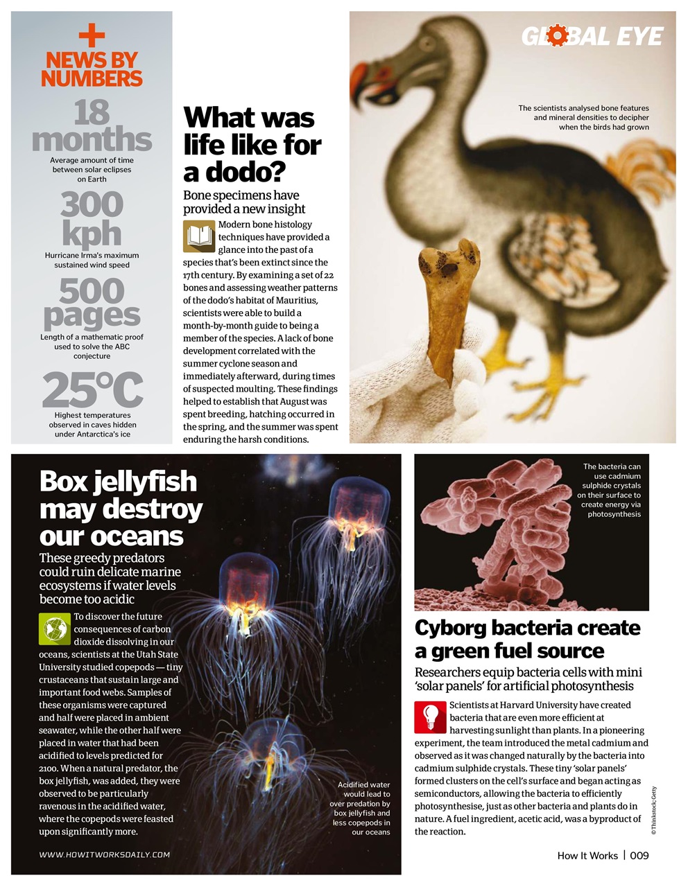 How It Works Preview Pages