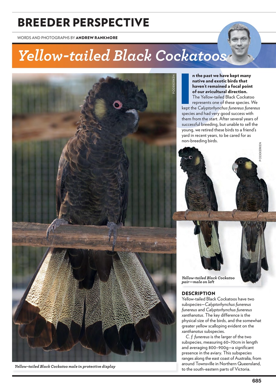 Australian Birdkeeper Magazine Preview Pages