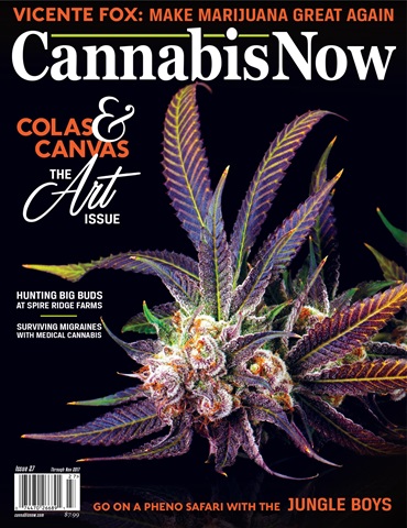 Cannabis Now issue Issue 27