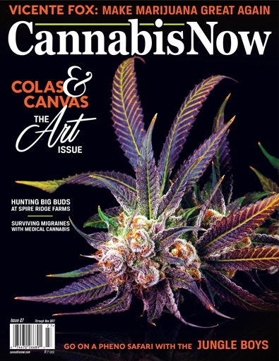 Cannabis Now issue 