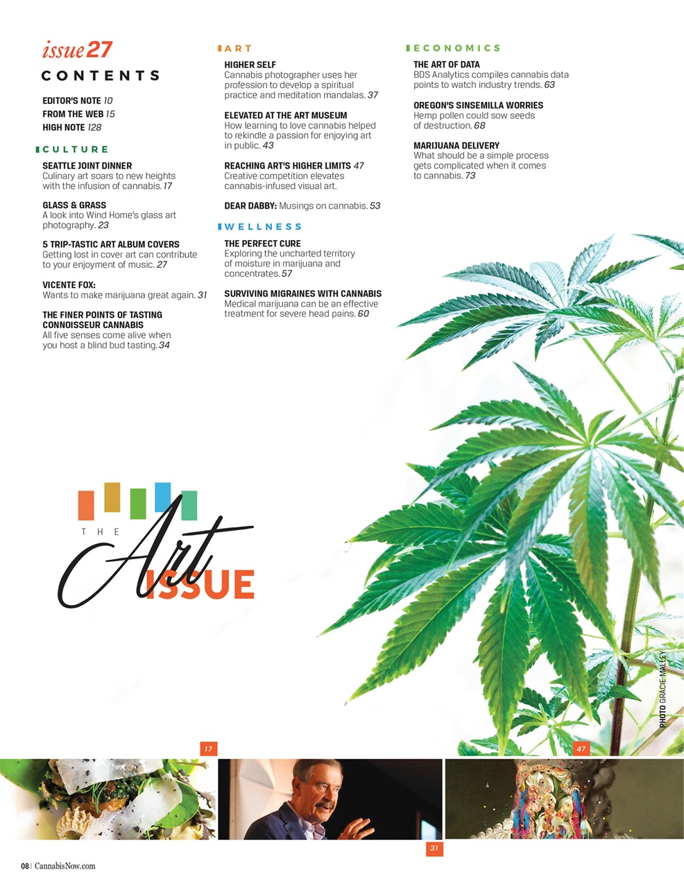 Cannabis Now Preview Pages