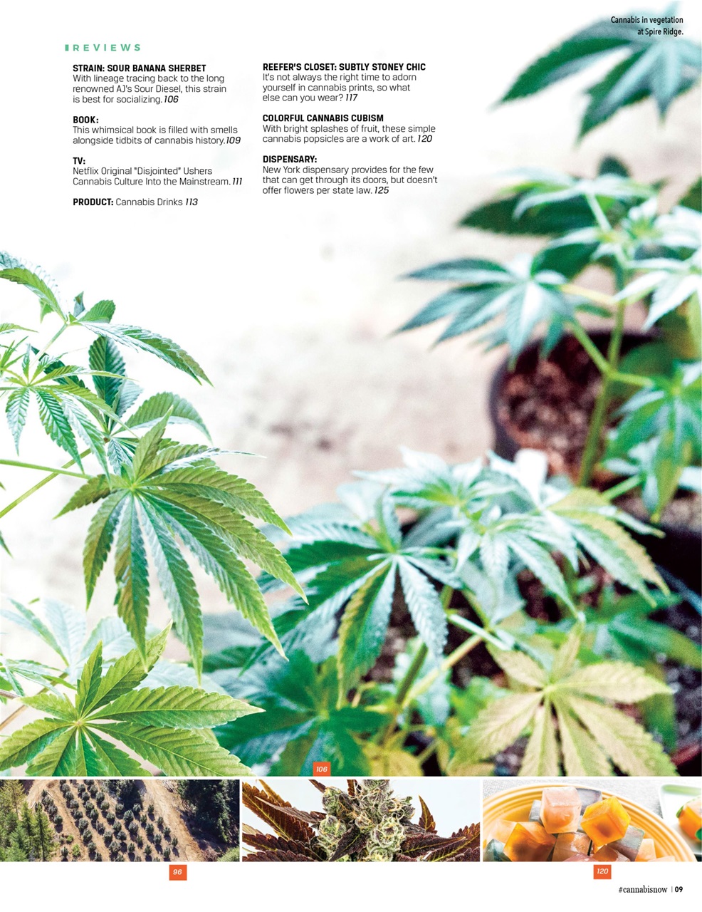 Cannabis Now Preview Pages