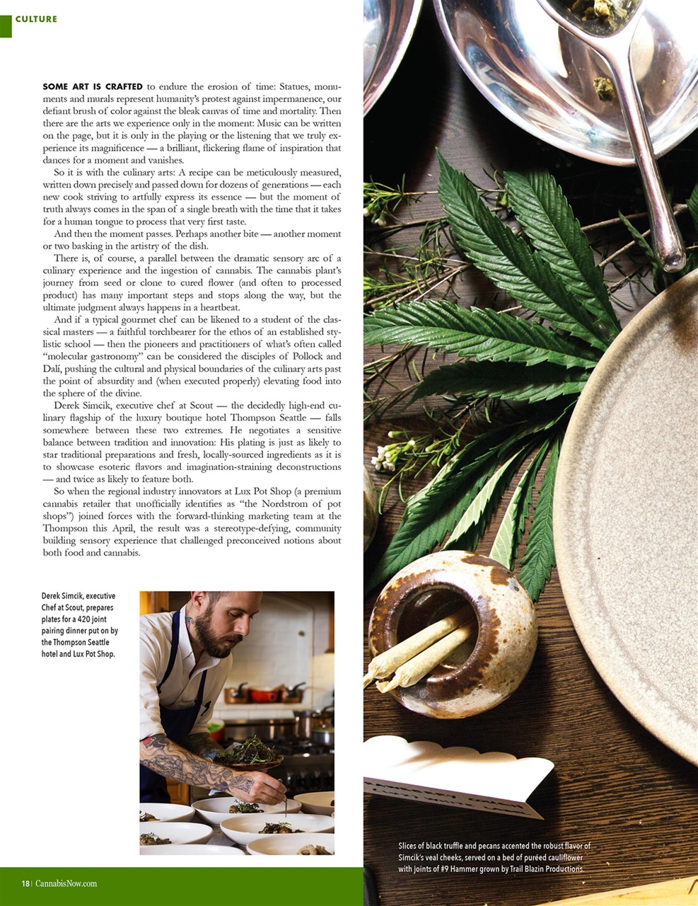 Cannabis Now Preview Pages