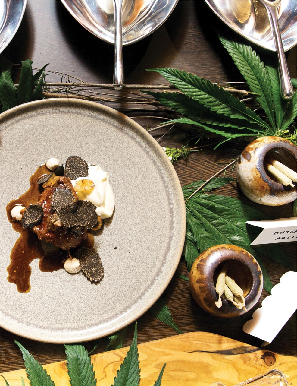 Cannabis Now Preview Pages