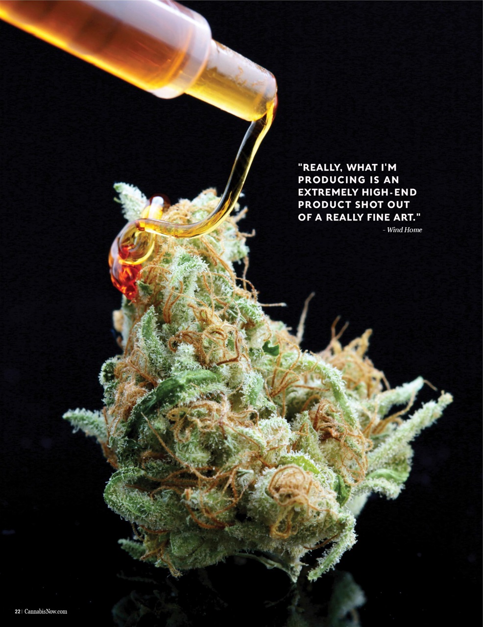Cannabis Now Preview Pages
