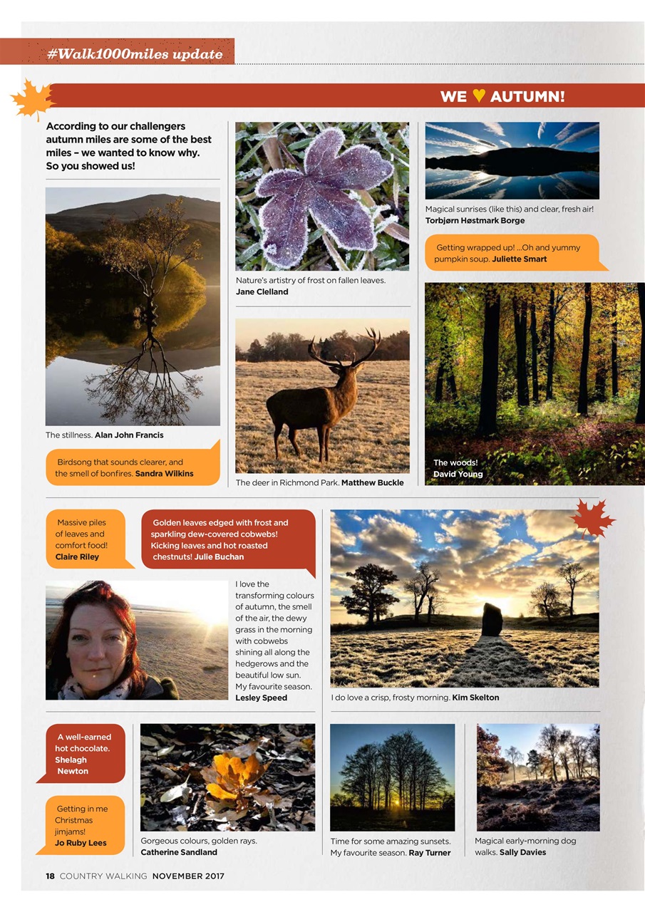 Country Walking Preview Pages