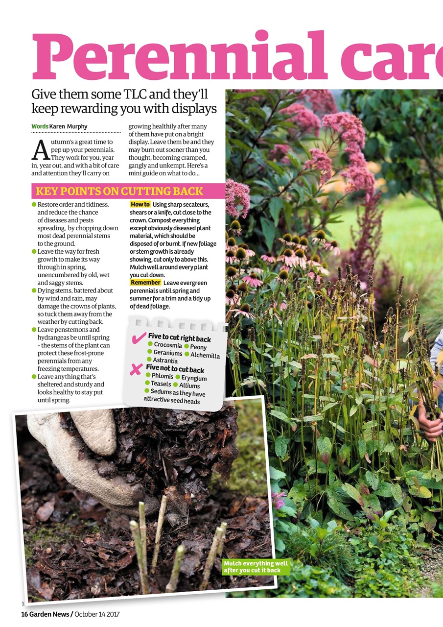 Garden News Preview Pages