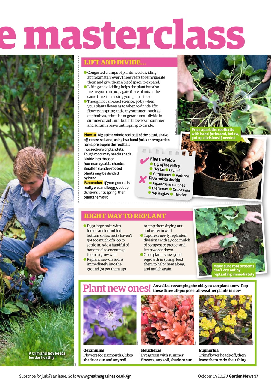 Garden News Preview Pages
