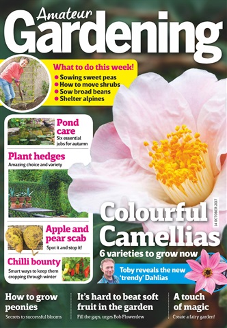 Amateur Gardening issue 14th October 2017