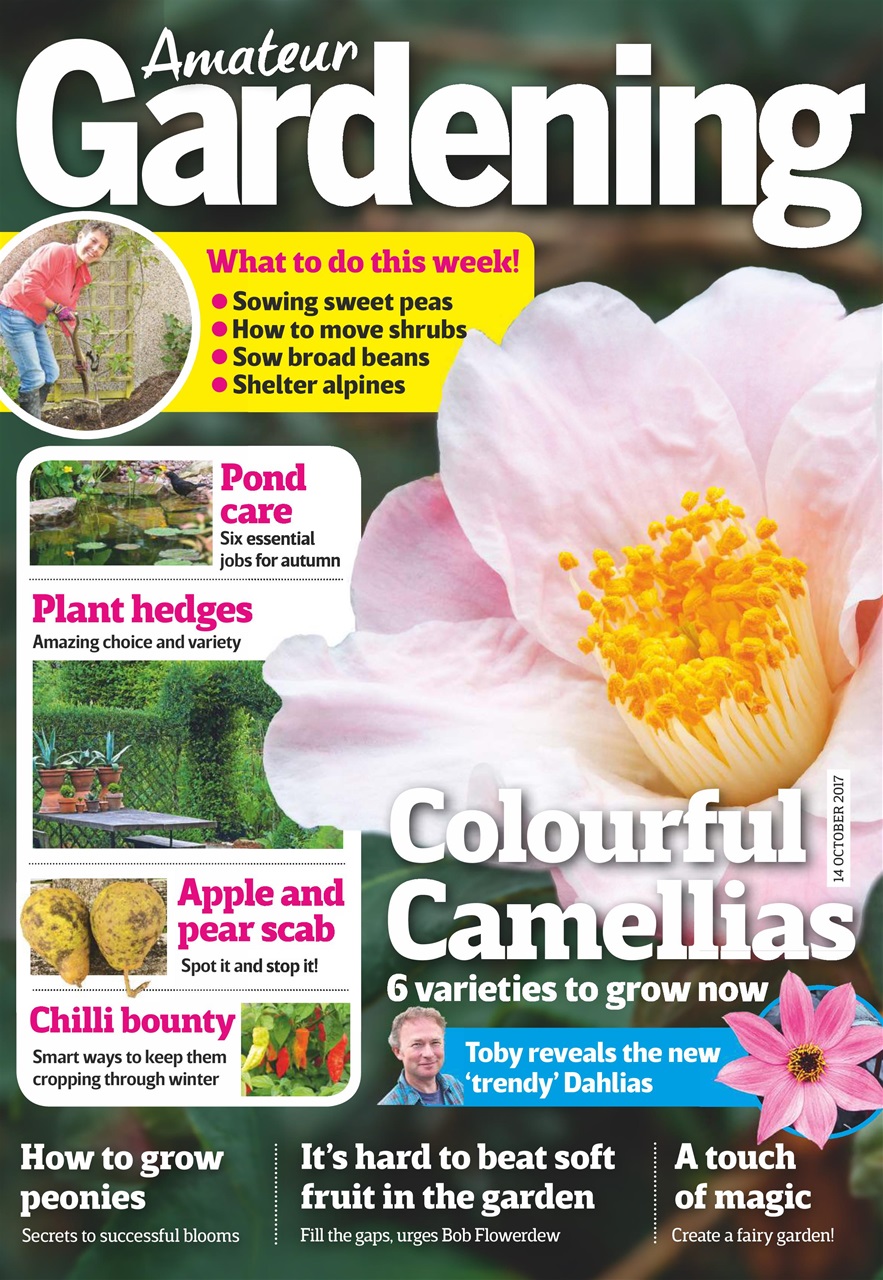 Amateur Gardening Preview Pages