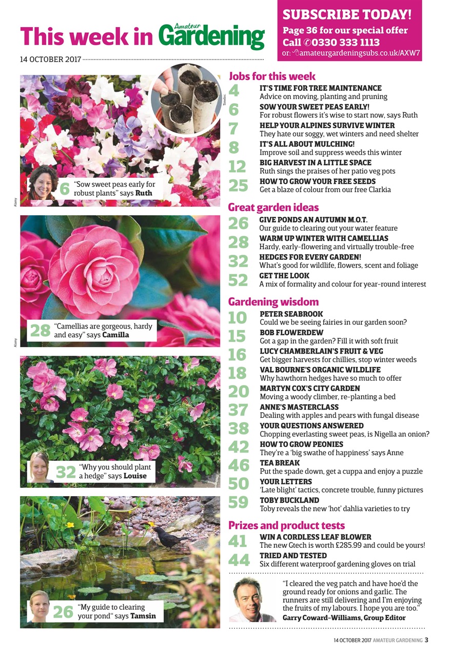 Amateur Gardening Preview Pages