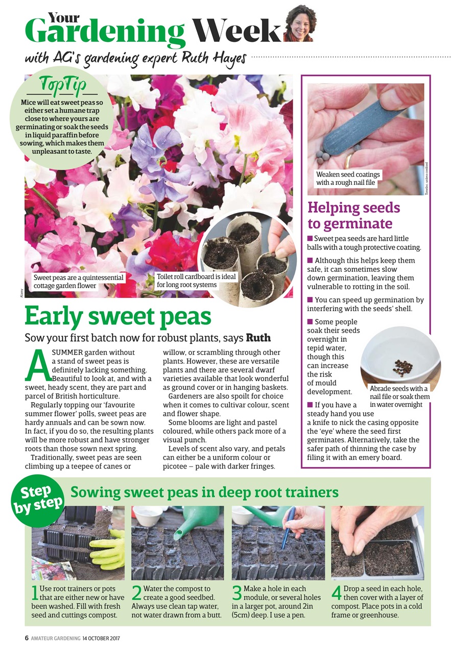 Amateur Gardening Preview Pages