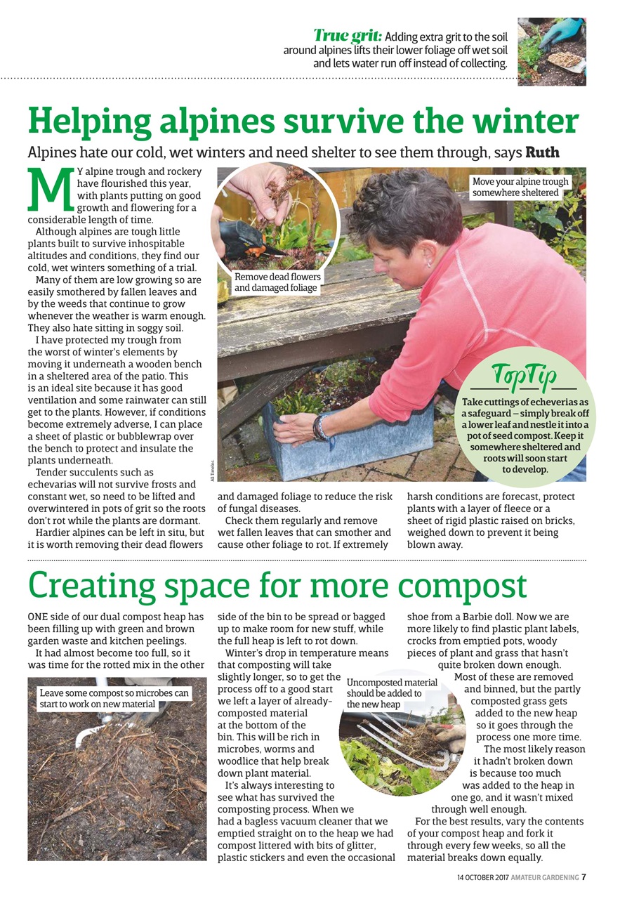 Amateur Gardening Preview Pages