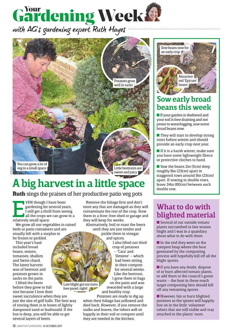 Amateur Gardening Preview Pages