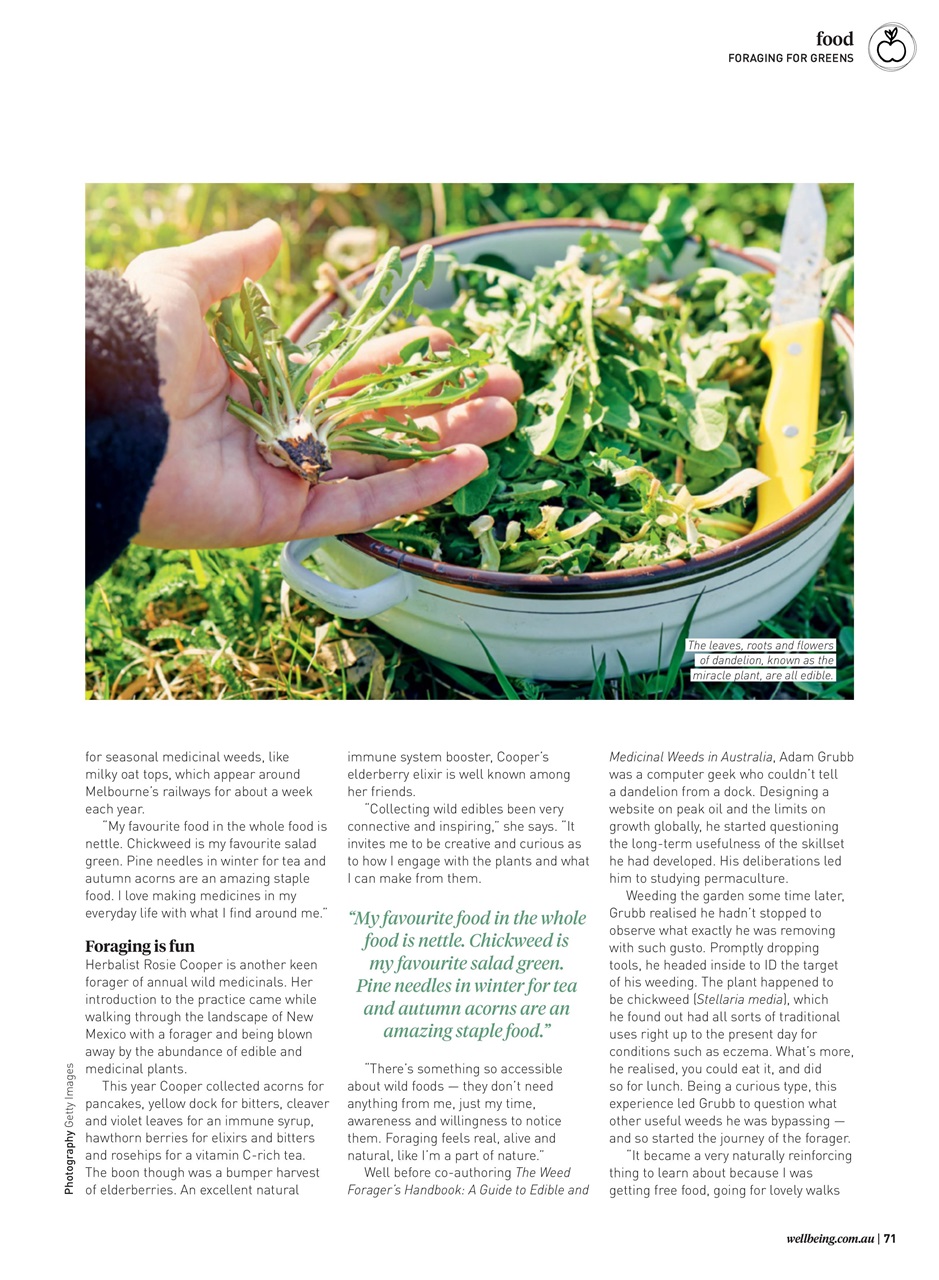 WellBeing Preview Pages