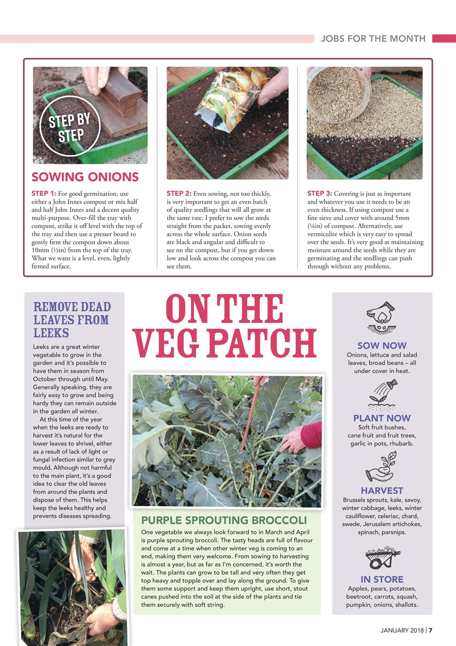 Kitchen Garden Magazine Preview Pages
