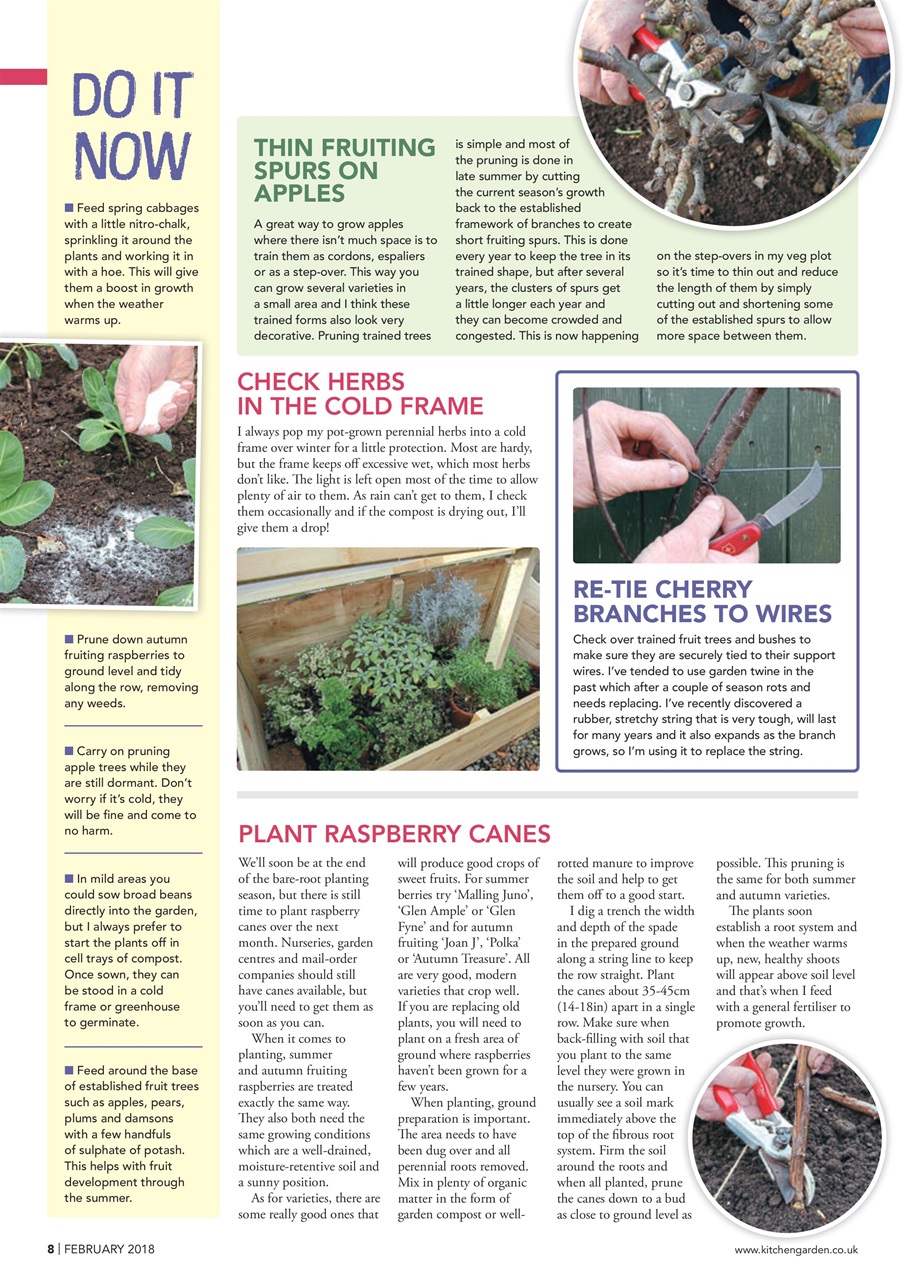 Kitchen Garden Magazine Preview Pages