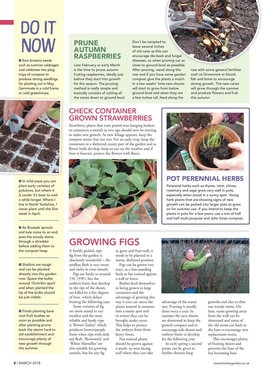 Kitchen Garden Magazine Preview Pages