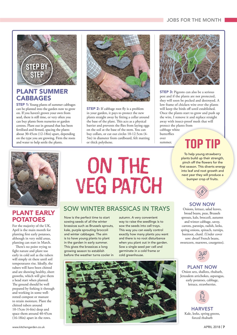 Kitchen Garden Magazine Preview Pages