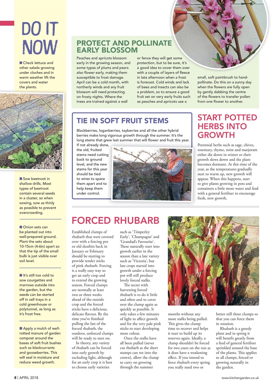 Kitchen Garden Magazine Preview Pages