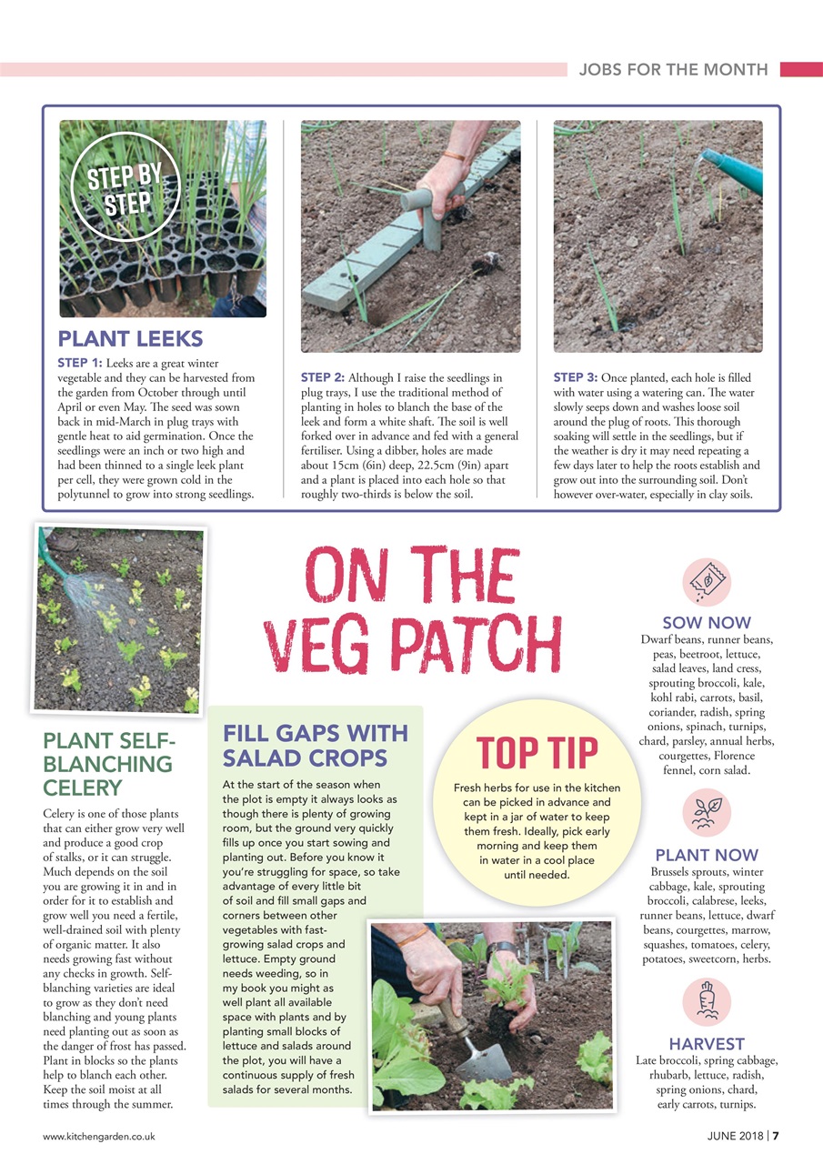 Kitchen Garden Magazine Preview Pages